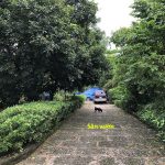 Bán nhà mặt tiền sông Sài Gòn & Tỉnh lộ 15 xã Nhuận Đức, Củ Chi