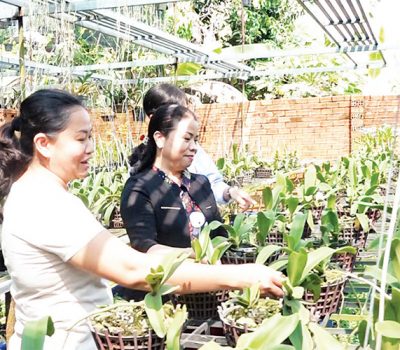 Các học viên tìm hiểu cách chăm sóc hoa lan